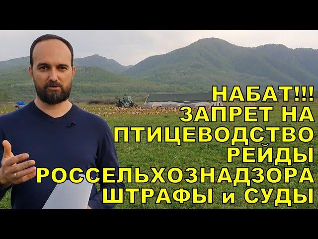 НАБАТ!!! ЗАПРЕТ НА ПТИЦЕВОДСТВО - РЕЙДЫ РОССЕЛЬХОЗНАДЗОРА, НЮАНСЫ НОВЫХ ВЕТПРАВИЛ, ПЛАНЫ И ОТВЕТЫ