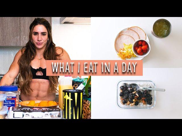 What I Eat In A Day As A World Record Holding Powerlifter | Meal Ideas