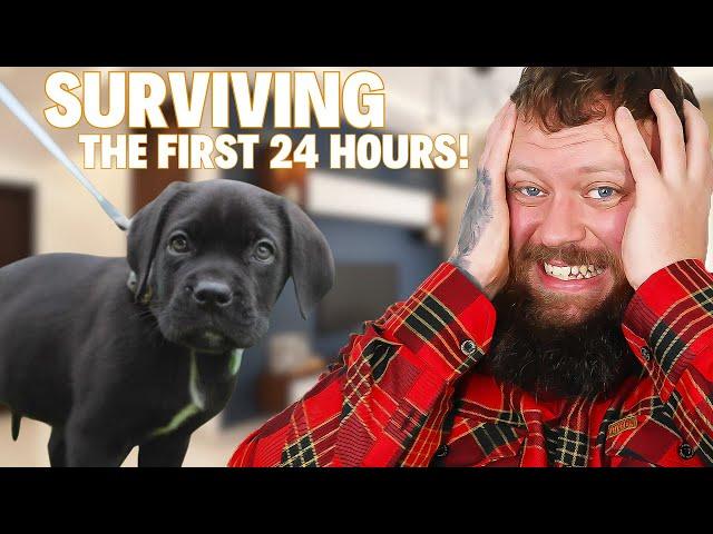 How To Survive The First 24 Hours With a New Puppy!