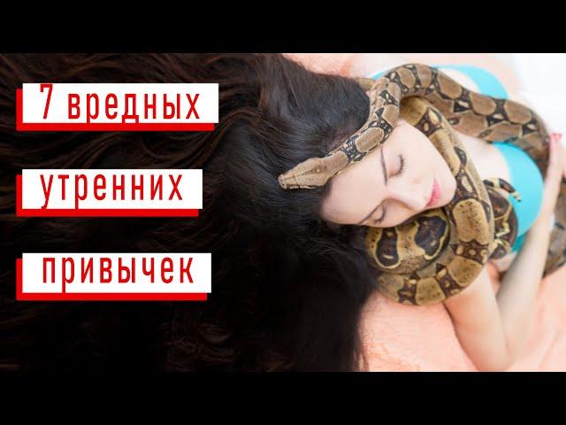 7 вредных утренних привычек | Ариада - психолог со змеями