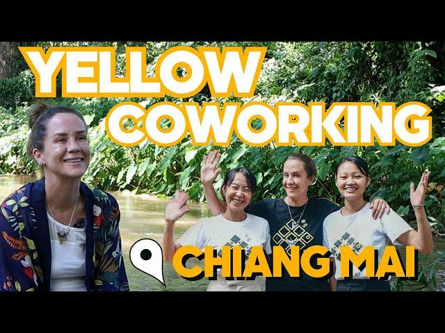 BEST Co Working in Chiang Mai - Yellow Co Working Space and Patty's Incredible Story