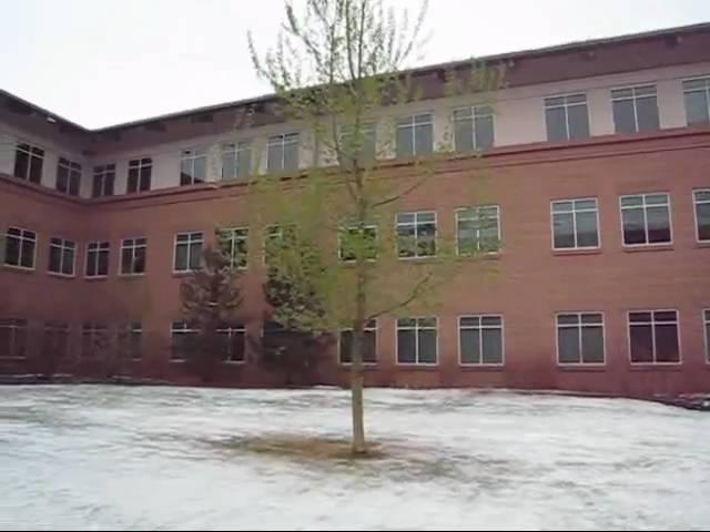 Snow Falling on Sun's Broomfield Campus