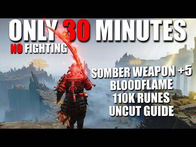 Get a Very Strong Build in 30 Minutes only - Beginner Guide (Part 1) - Elden Ring