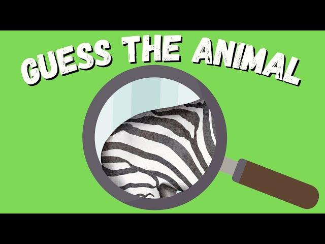 Guess the ANIMALS in 10 Seconds