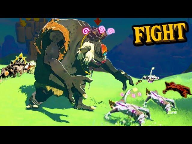 Hinox vs Bokoblins EPIC BATTLE! - Muddle Bud Trolling - TOTK