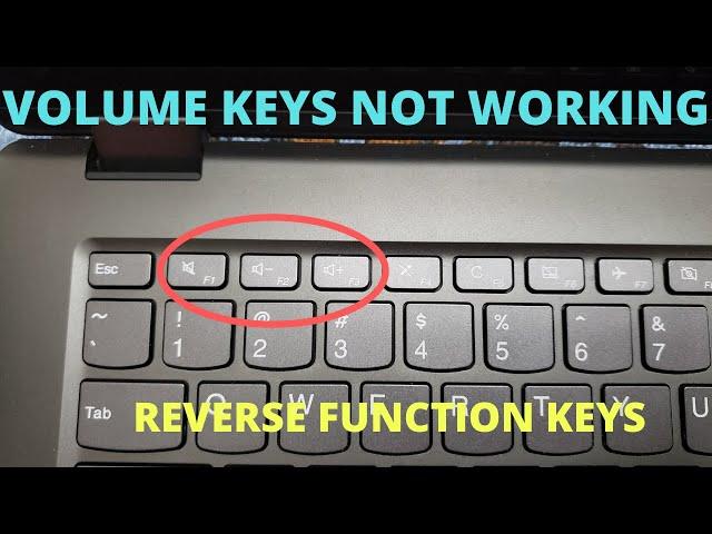 Volume Button Not Working - Reverse Function Keys and Multimedia Keys (F1-F12)