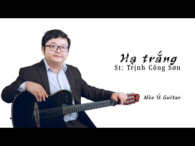 Hạ Trắng (St Trịnh Công Sơn) guitar solo | Mèo Ú Guitar