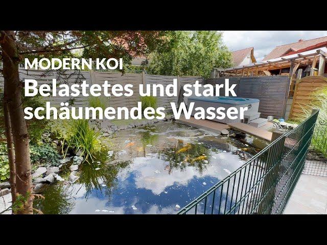 Markus mehrfach umgebauter Koiteich | Modern Koi Blog #7111