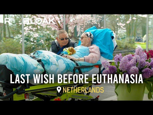 Beyond Suffering: Understanding Euthanasia in the Netherlands