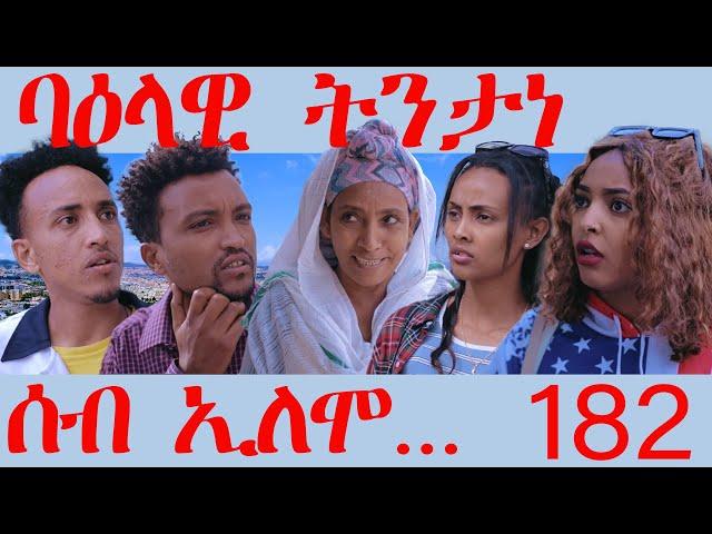 182 ሰብ ኢሎሞ ባህላዊ ትንታነ - Seb Elomo Bahlawi Tntane - By Teame Arefayne Eritrean Comedy 2024