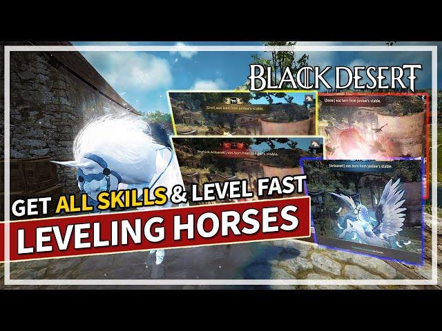 How To Level Horses Fast & Get ALL Tier 9 & 10 Skills | Black Desert