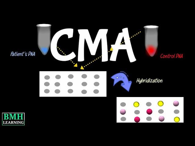 Chromosomal Microarray Test | Chromosomal Microarray Analysis | CMA Test |