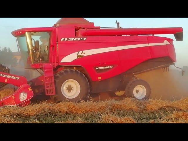 Mietitura grano con LAVERDA M 304 - Wheat harvest -