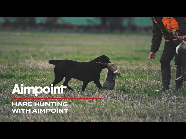 Hare Hunting with Aimpoint