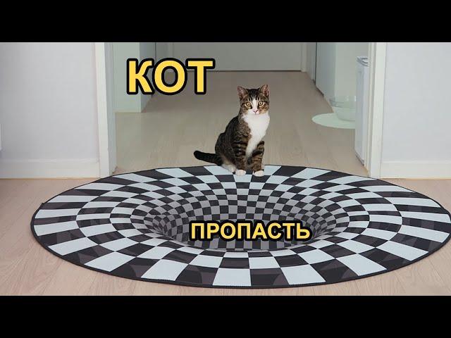 Кот VS Оптическая иллюзия