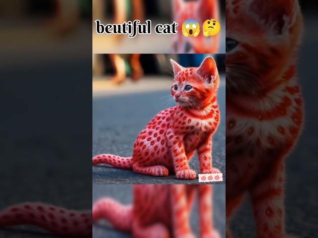 beautiful cat story # shorts #trending#cartoon#youtubeshorts#ai #cat#vairal#vairalshort#@AiCat7