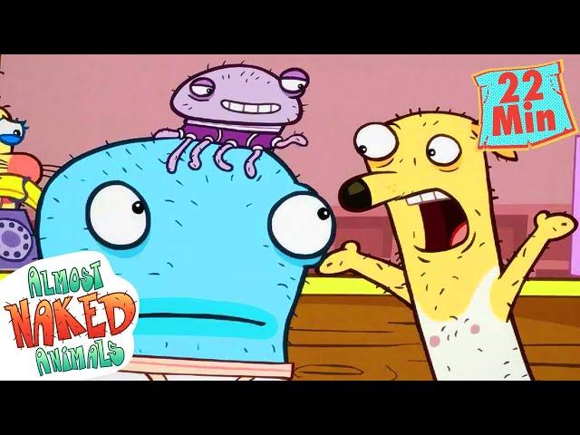 Octo vs. Jellyfish | Underwater Pranks | Full Episodes | Almost Naked Animals