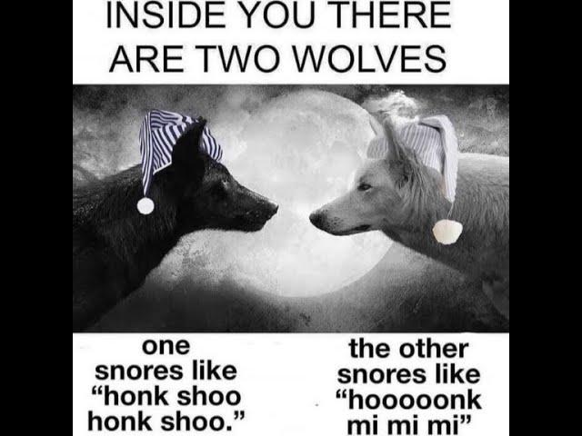 INSIDE YOU THERE ARE 2 WOLVES