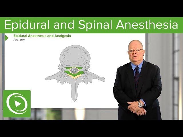 Neuraxial Blocks: Epidural and Spinal Anesthesia & Analgesia – Anesthesia | Lecturio