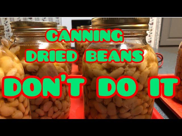 CANNING DRIED BEANS                                                                   "DON'T DO IT"