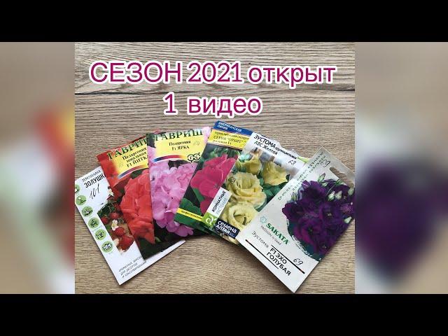 Дачный сезон 2021 открыт. Первые посевы. ВИДЕО 1