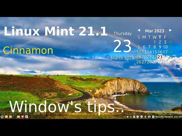 Linux Mint 21.1 - Cinnamon -  tips on Windows settings.