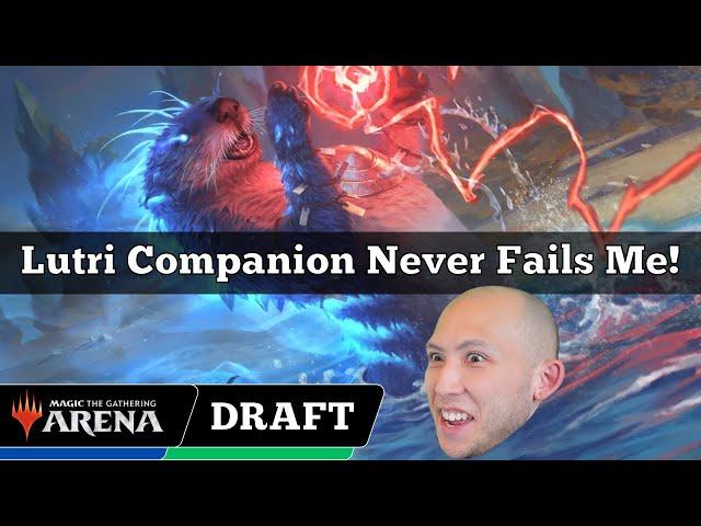 Lutri Companion Never Fails Me! | Chromatic Cube Draft | MTG Arena