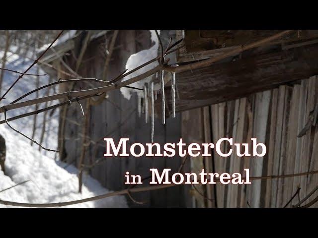 MonsterCub in Montreal, Sugar Bear, Meat Party, Gay Canada