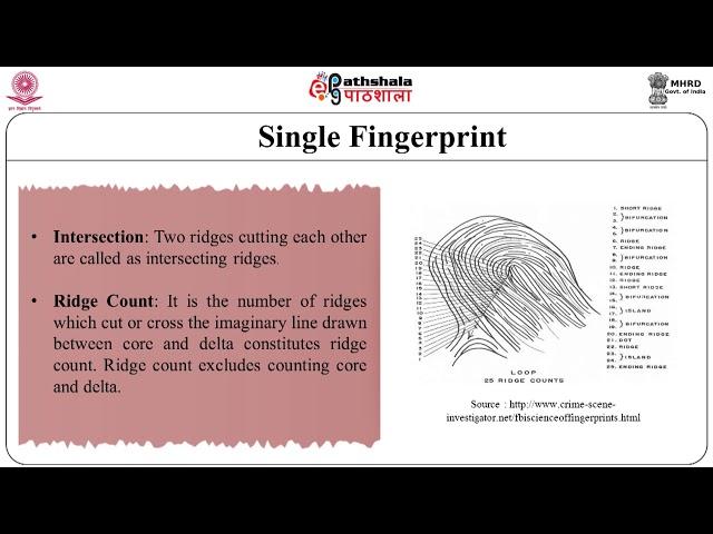 Dermatoglyphics