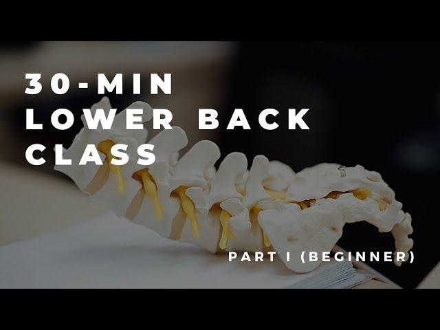 Lower Back Class | Yoga Therapy to balance & Strengthen your lower back | PART 1 (Warm up/Beginner)