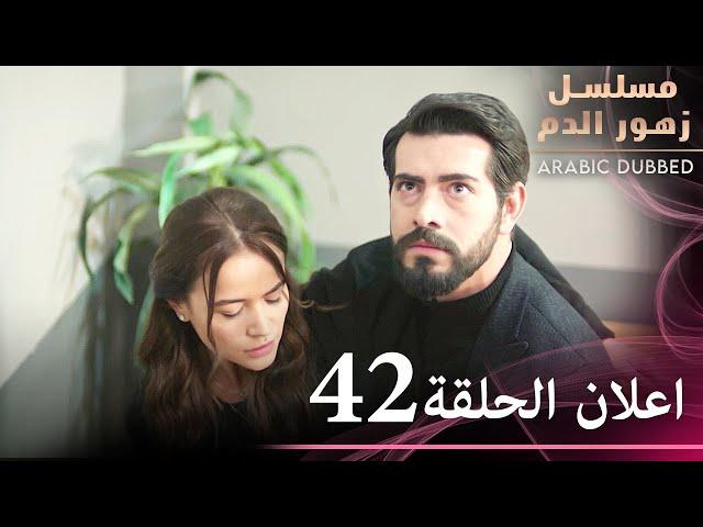 اعلان الترويجي للحلقة 42 | مسلسل زهور الدم | مدبلج بالعربية | Kan Çiçekleri