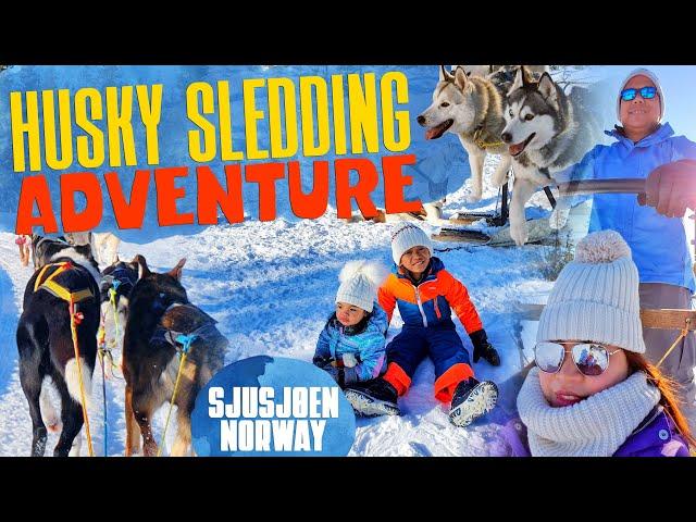 HUSKY SLEDDING Adventure in Sjusjøen, Norway |  TourYes Travels & Adventures