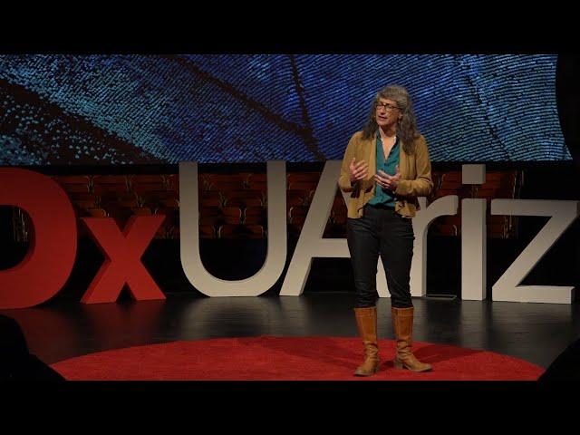 How do our brains handle grief? | Mary-Frances O'Connor | TEDxUArizona