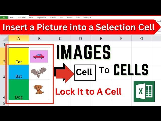 How To Insert Images In Excel Cell Picture insert and Automatic Resize