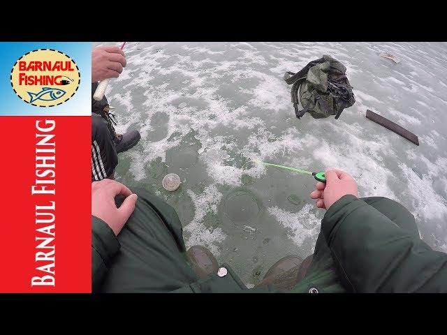 ЗАКРЫЛ СЕЗОН!! ЗИМНЯЯ РЫБАЛКА (Barnaul fishing)