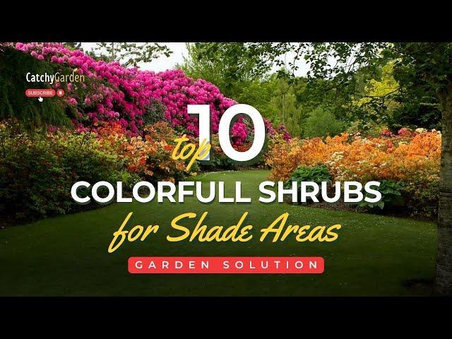 10 Shrubs That Will Add Color and Thrive in the Shade  // Gardening Tips