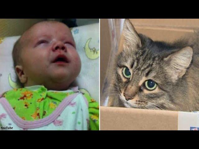 The child was left in the basement - and for many hours only a cat warmed him