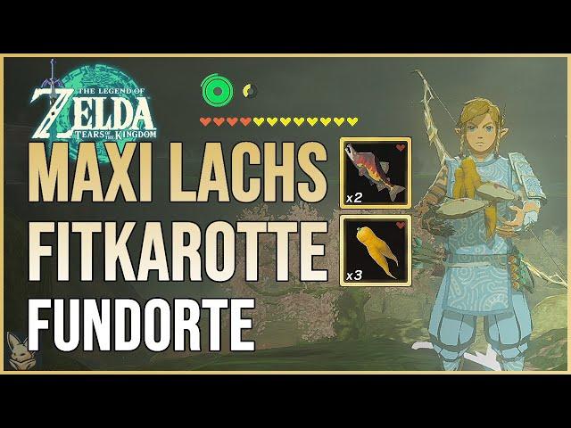 Maxi Lachs & Fitkarotte Fundorte | Zelda Tears of the Kingdom | Bonus Herzen & Ausdauer Zelda TotK