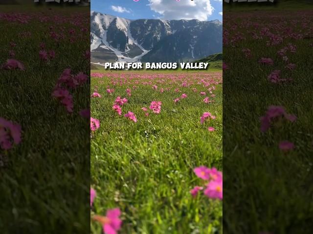 Bangus valley Most beautiful travel place in kashmir #bangusvalley #kaahmir