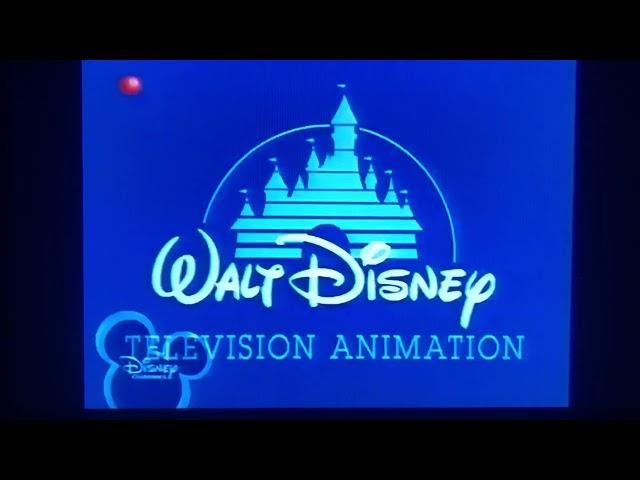 Walt Disney Television Animation/Disney Channel Original (2008)