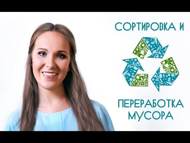 Раздельный сбор мусора. Как правильно сортировать отходы?