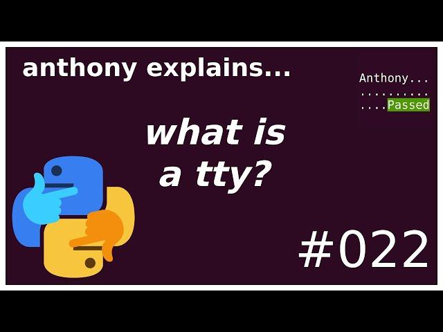 what is a tty? (beginner - intermediate) anthony explains #022