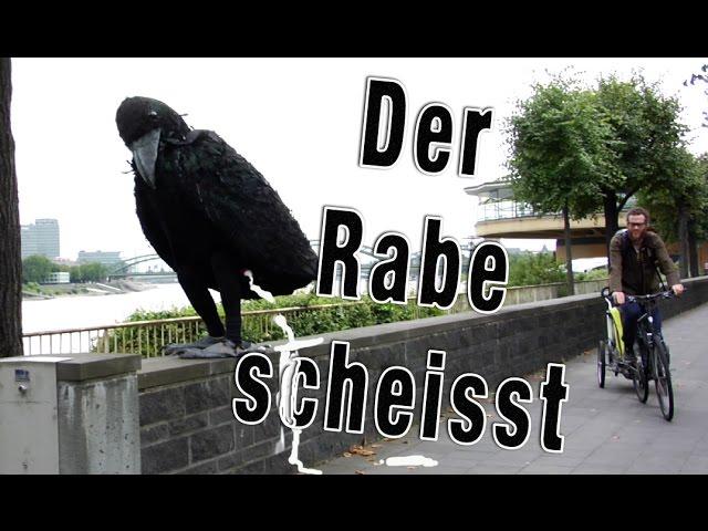 Der Rabe scheisst