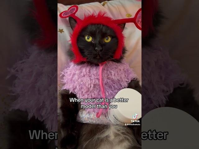 When your weird maches my weird call me maybe #catshorts #funnycatvids #catsofyoutube #catsoftiktok