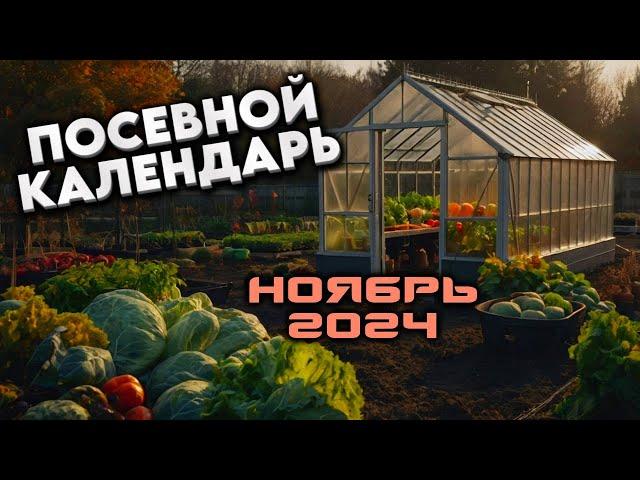 Агрогороскоп Ноябрь 2024: Лунный посевной календарь для сада и огорода