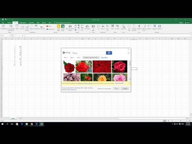 How to Insert a online picture in excel 2016