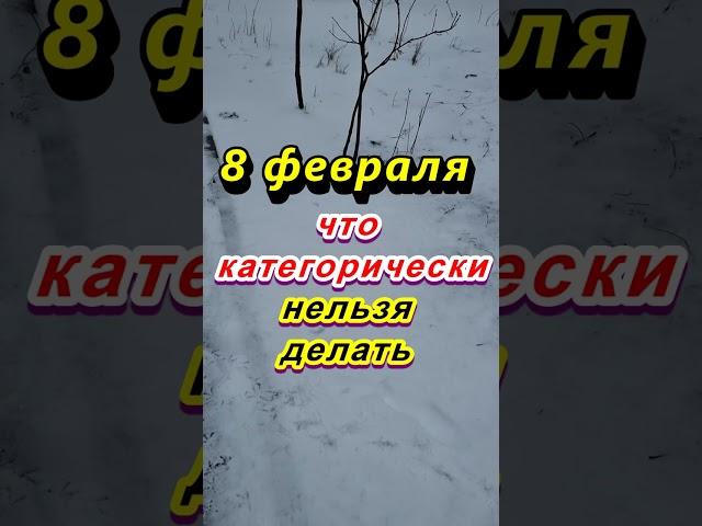 8 февраля народный праздник Федоров день. Что категорически нельзя делать. Народные приметы