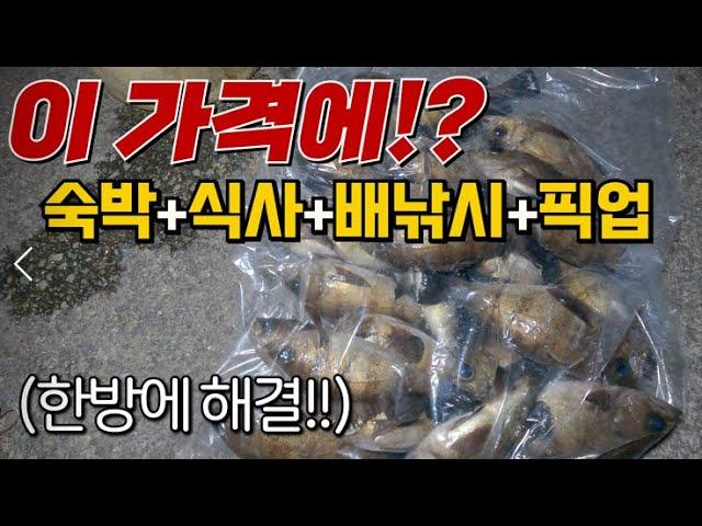 풀코스로 단돈 이가격에!?!? 숙박,식당,어업,배낚시까지 운영하시는!! 사장님을 만났습니다!(PS.곧 대 전갱이 시즌이 시작된다고 합니다)