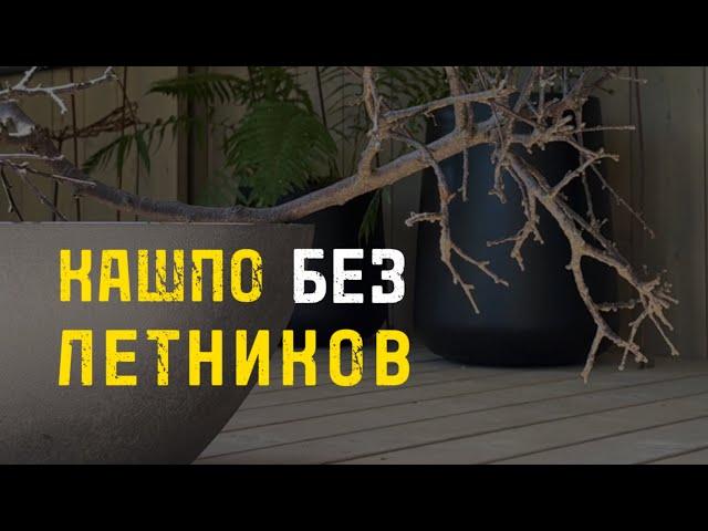 Контейнерное озеленение. Необычные приемы оформления кашпо #кашподляцветов #садоваяскульптура #сад