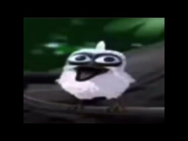 Bird screams (earrape warning)